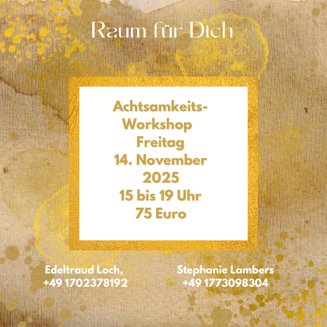 14november2025